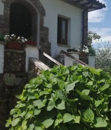 En Con Amplio Jardin A 5 Min De La Playa Situacion Inmejorable Hébergement de vacances *
