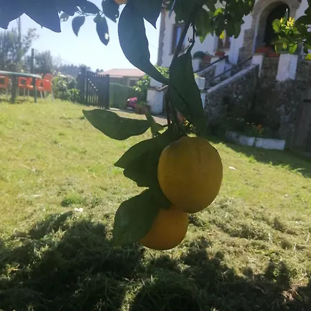 En Con Amplio Jardin A 5 Min De La Playa Situacion Inmejorable