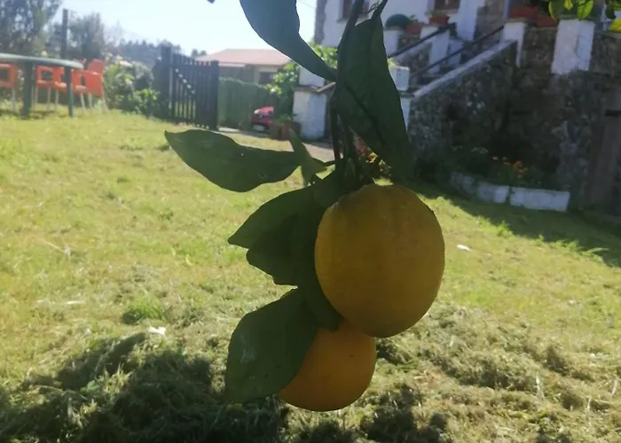 En Con Amplio Jardin A 5 Min De La Playa Situacion Inmejorable